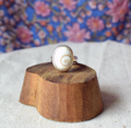 Ring with a shell design on a wooden stand against a floral background