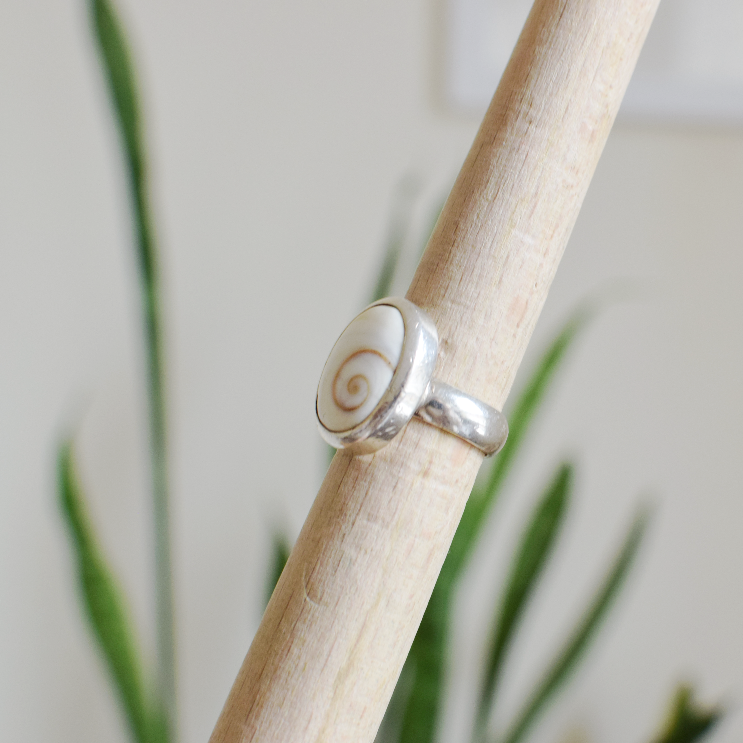 Silver ring with a shell design on a wooden stick with a plant background